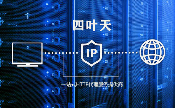 【阿拉善盟代理IP】代理IP的主要用途和使用注意事项